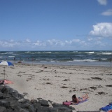 Beach Day  (5)